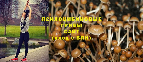 спиды Абаза