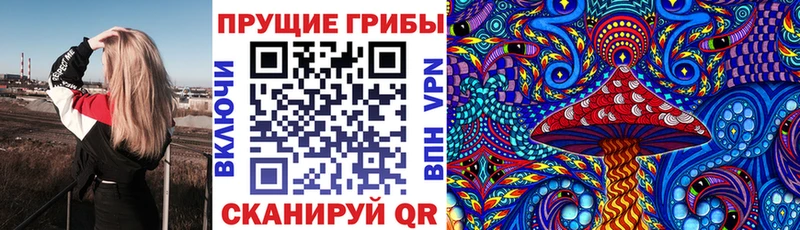 что такое Людиново Псилоцибиновые грибы прущие грибы